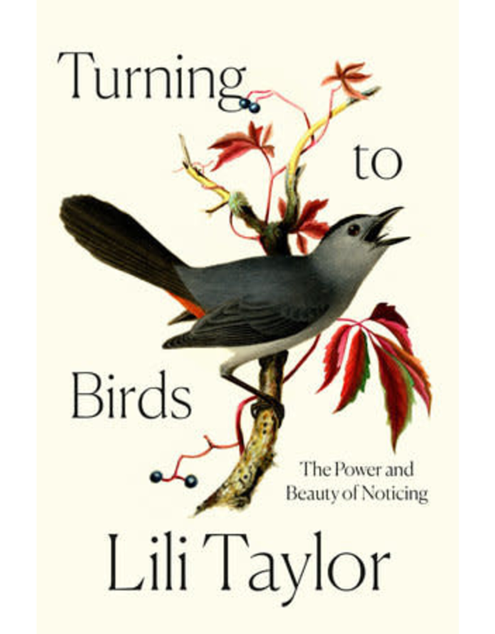 Turning to Birds