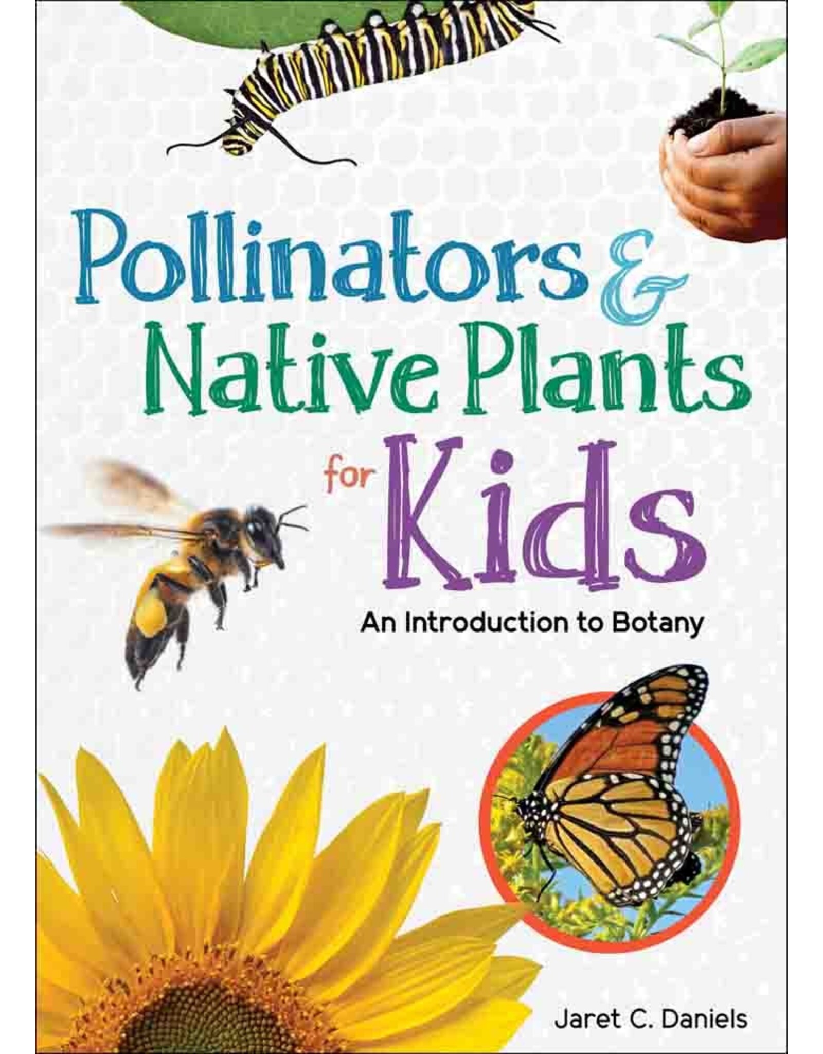 Pollinators & Native Plants for Kids