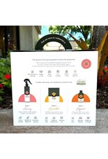 We the Wild Houseplant Care Kit