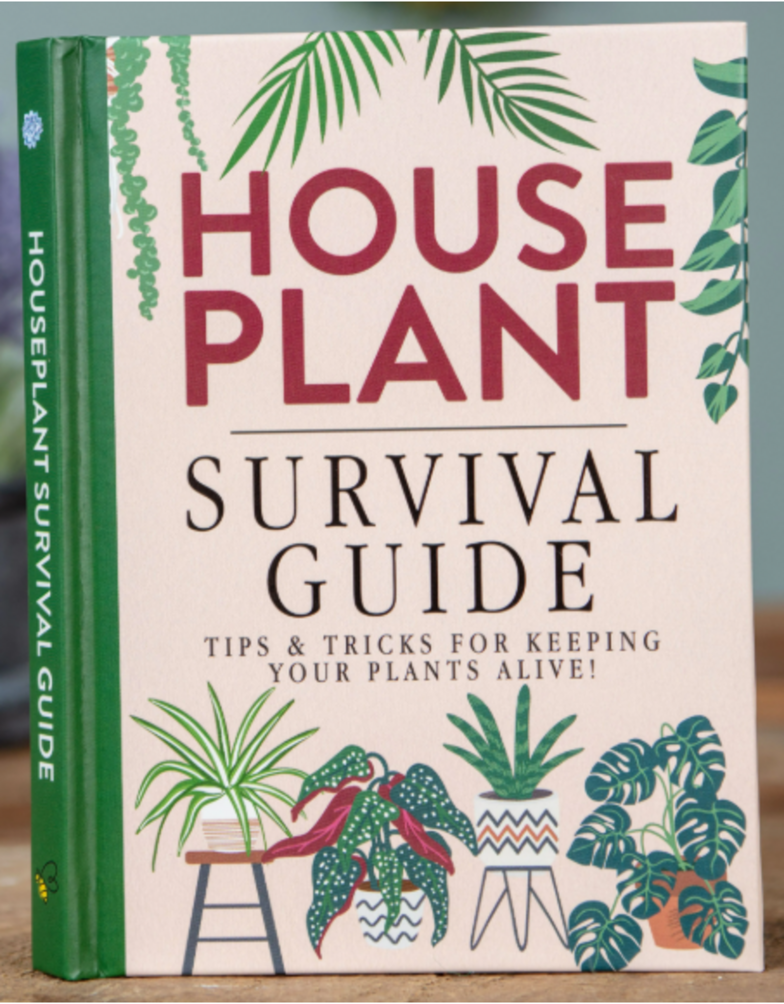 Houseplant Survival Guide