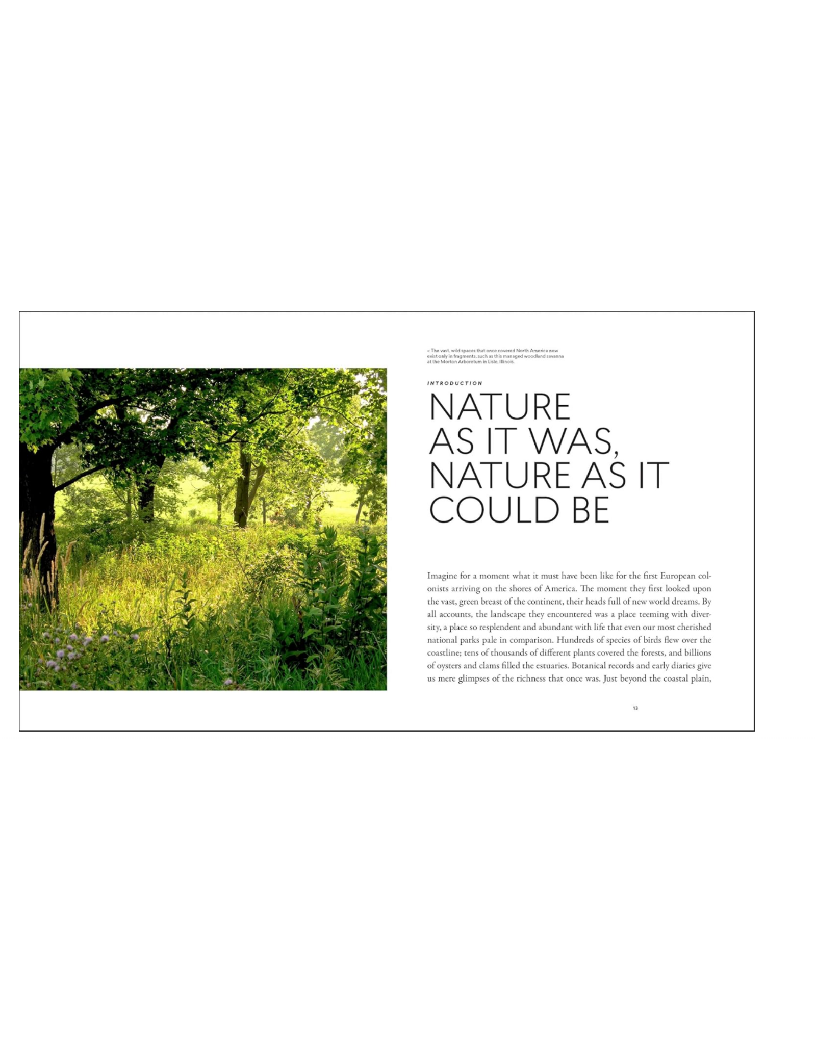 Planting in a Post-Wild World