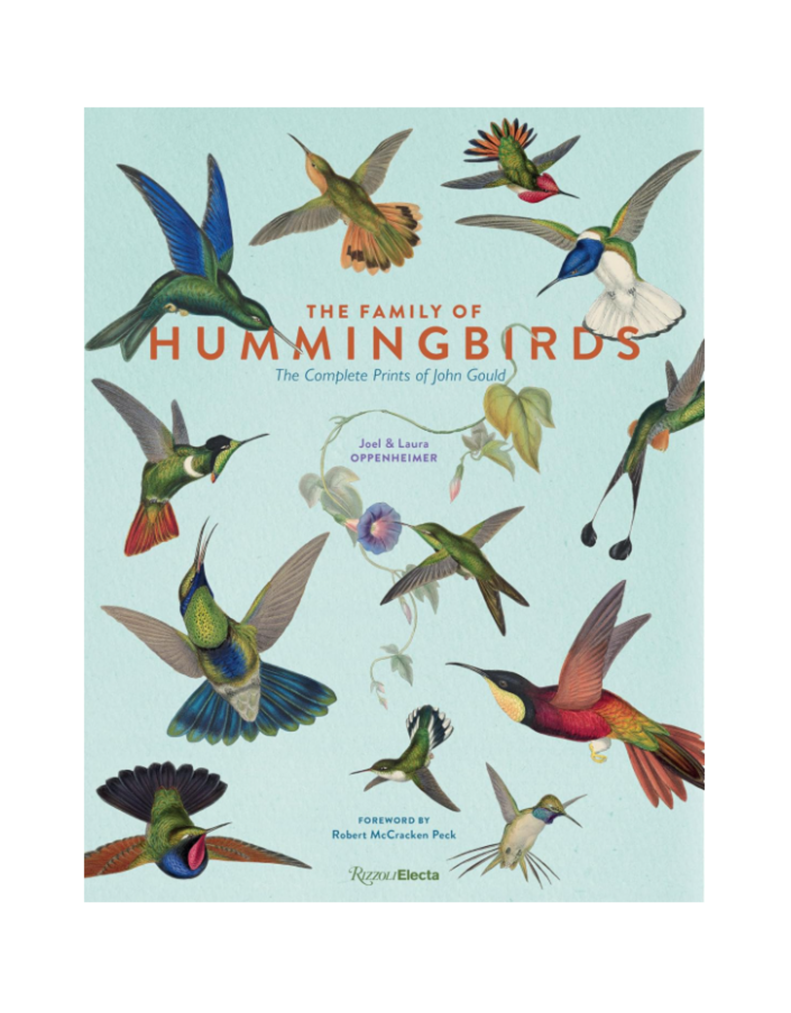 The Family of Hummingbirds