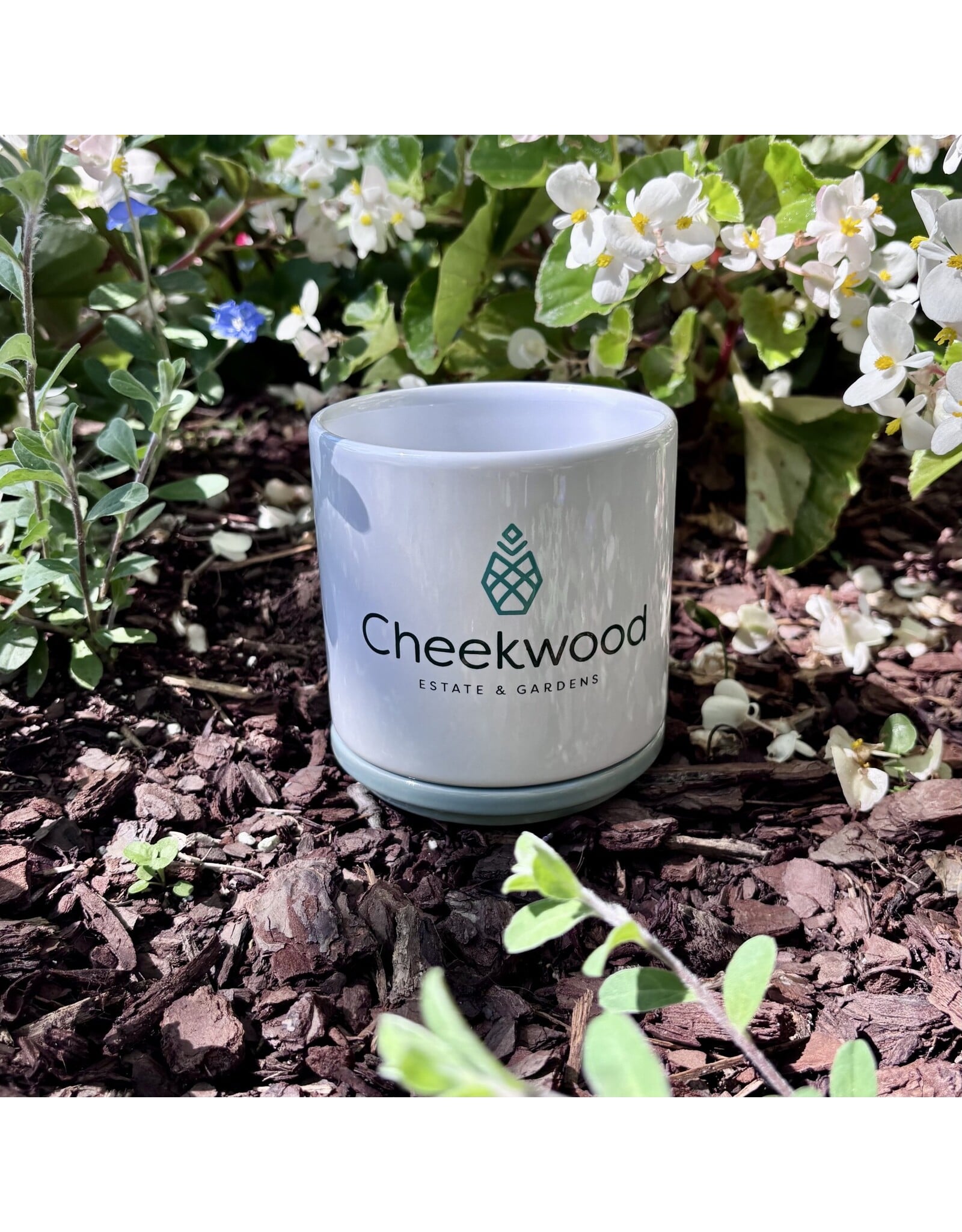 Cheekwood Ceramic Planter