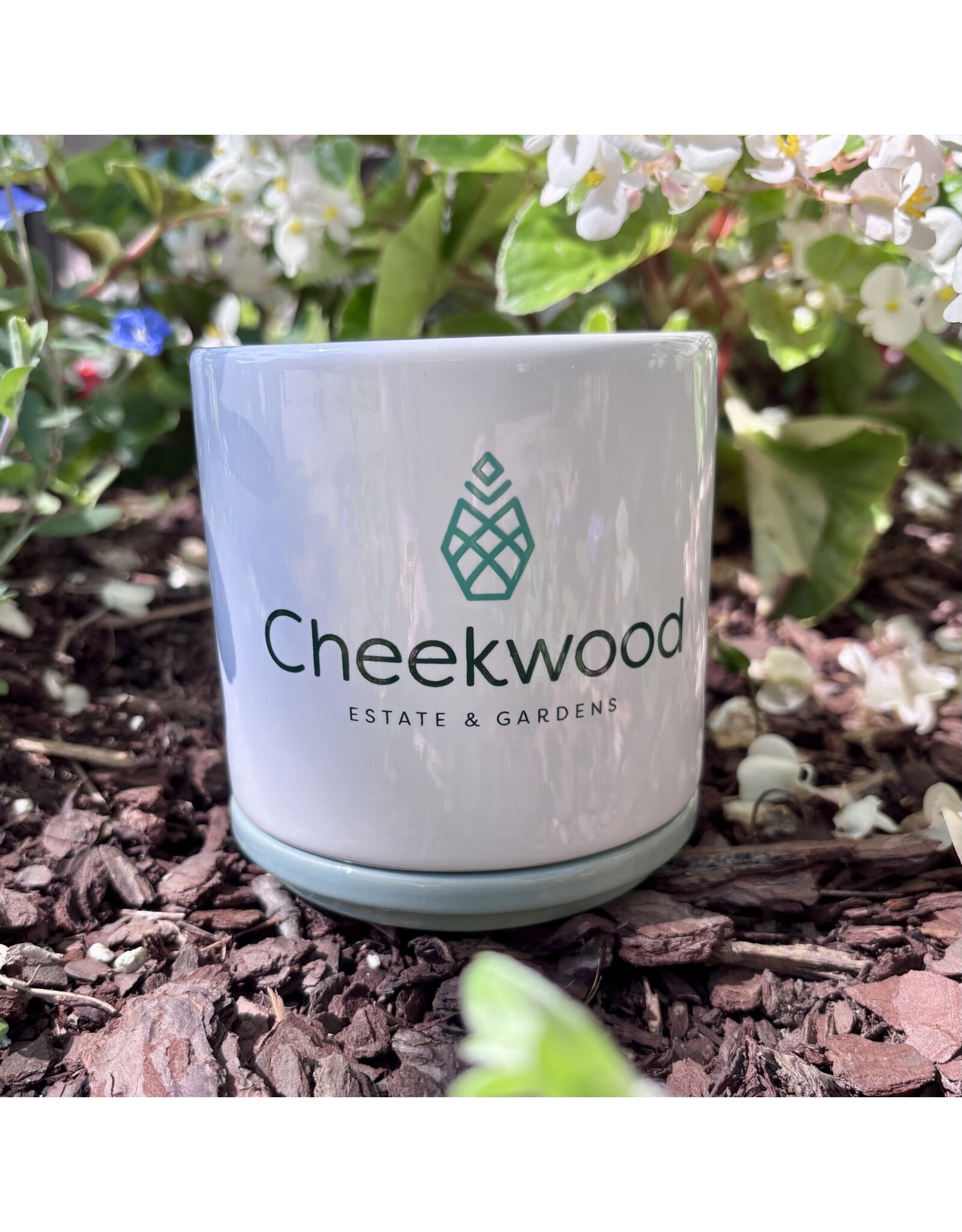 Cheekwood Ceramic Planter