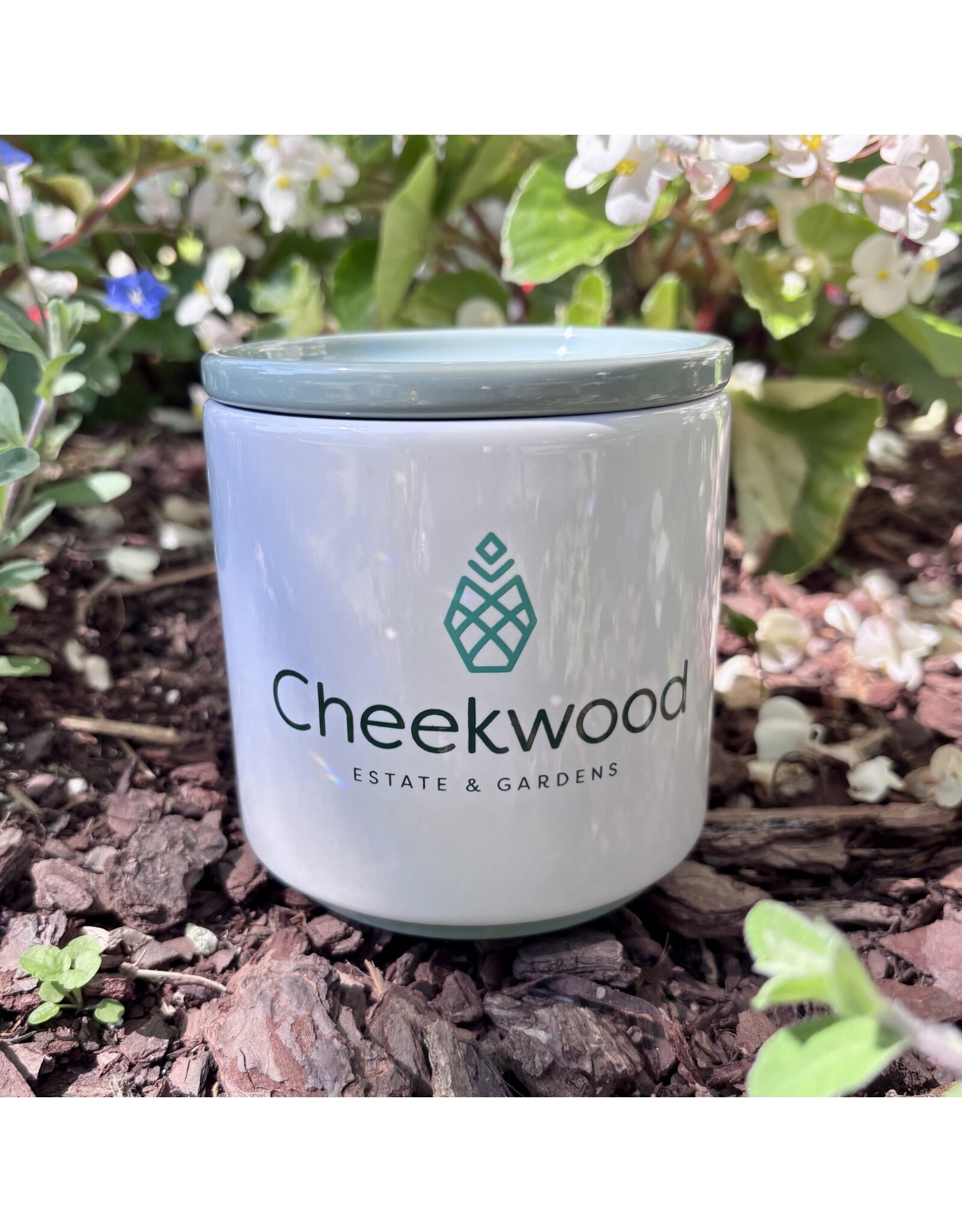 Cheekwood Ceramic Planter