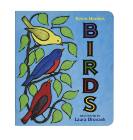 Birds: An Enchanting Story About a Girl