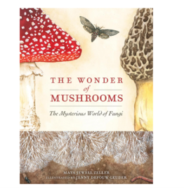 The Wonder of Mushrooms