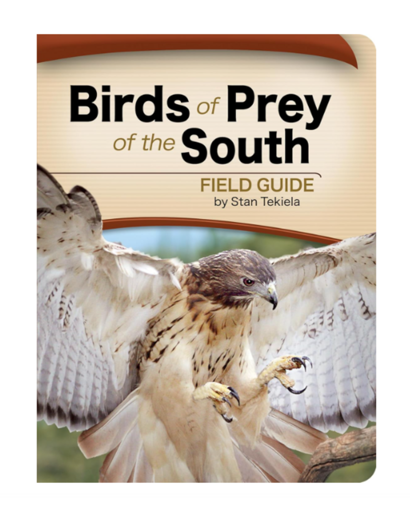 Birds of Prey of the South Field Guide