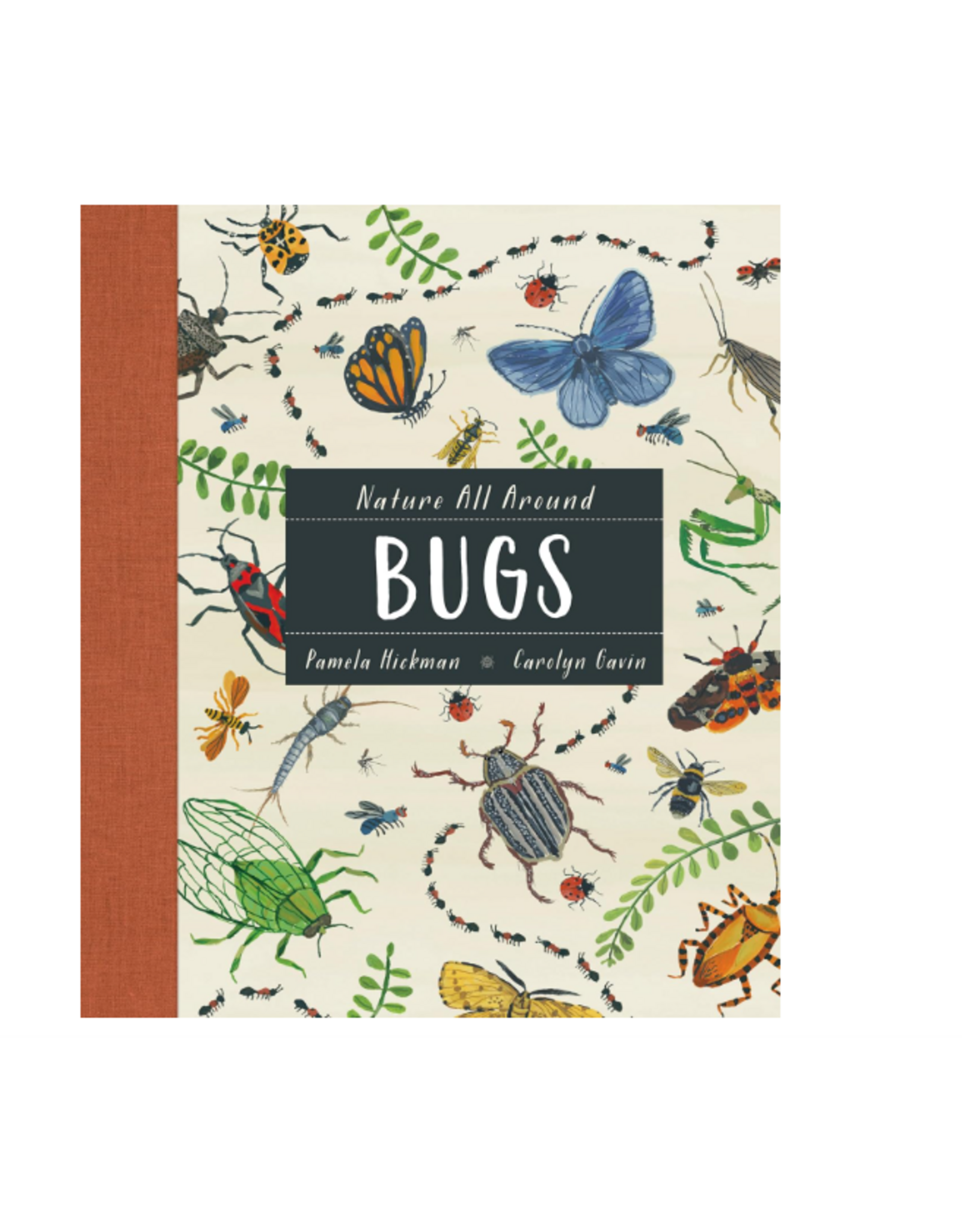 Nature All Around: Bugs