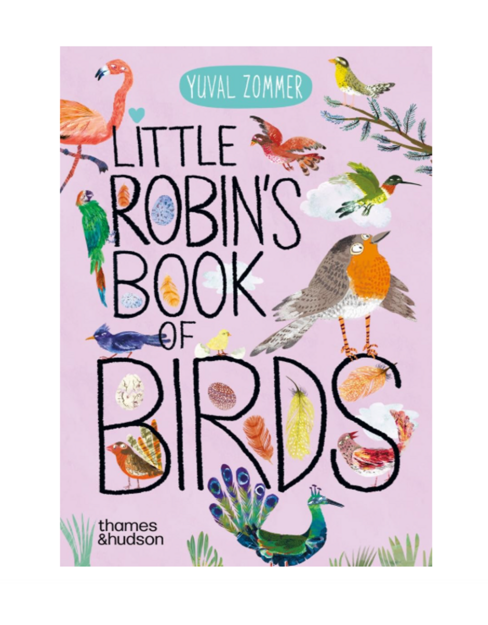 Little Robin's Book of  the Birds