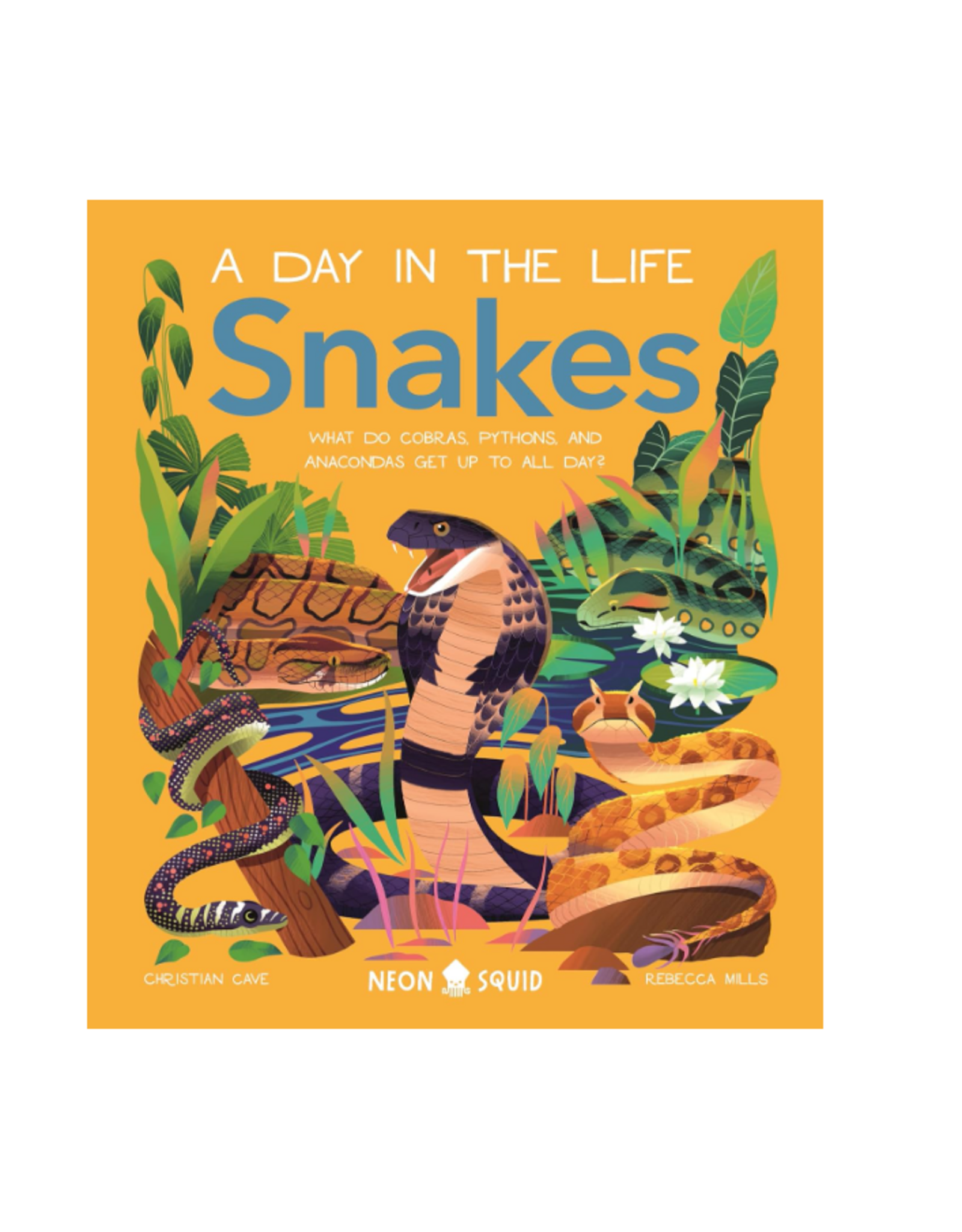 A Day in the Life of Snakes