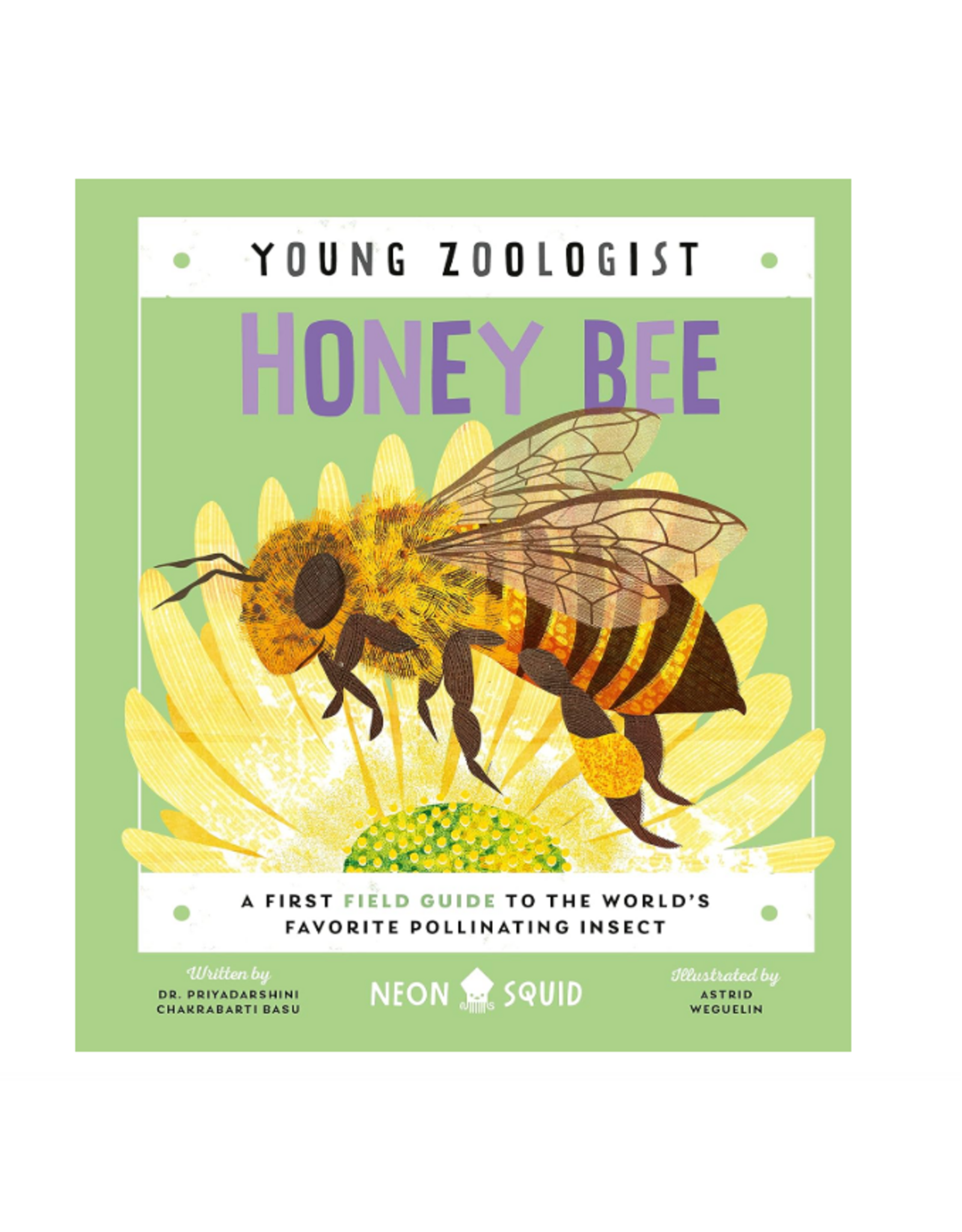 Young Zoologist: Honey Bee