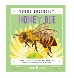 Young Zoologist: Honey Bee
