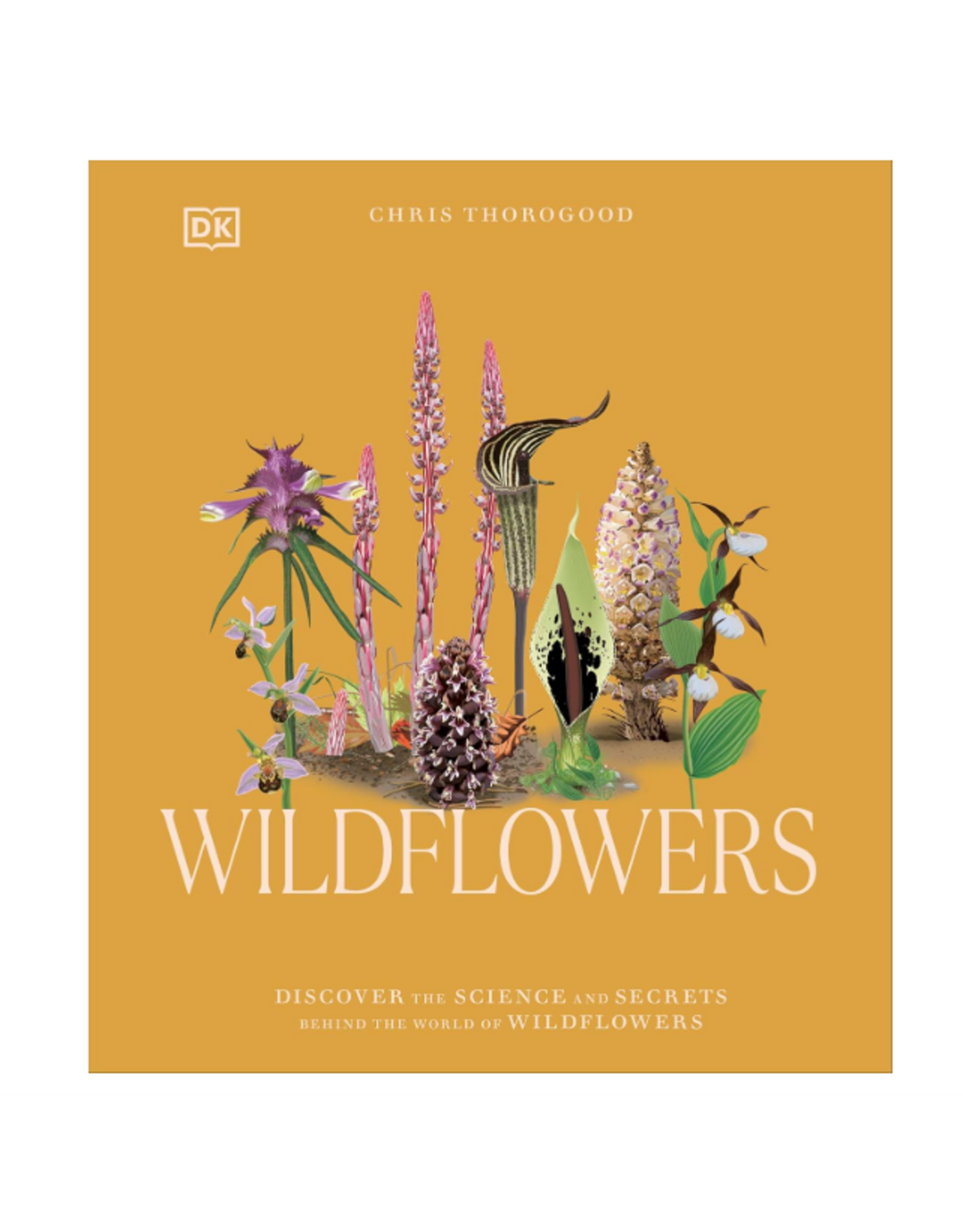 Wildflowers