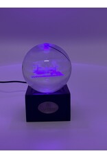 Cheekwood TRAINS Etched Light-Up Decor