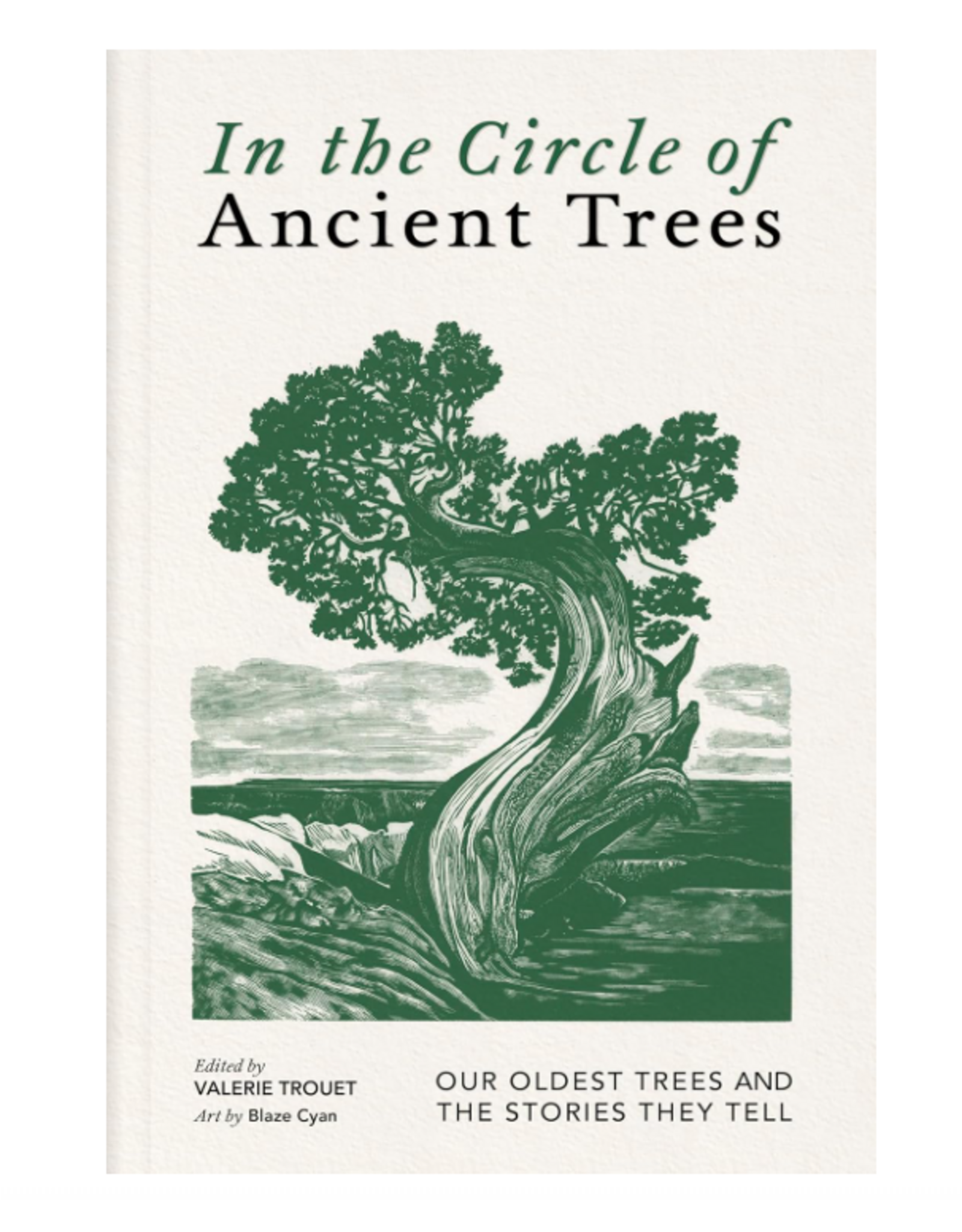 In the Circle of Ancient Trees