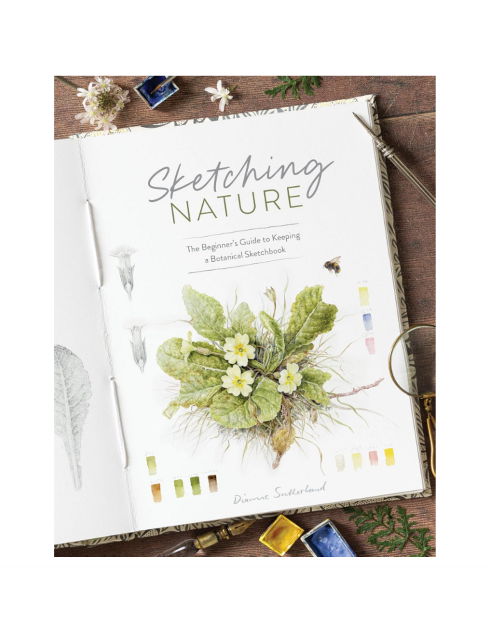 Sketching Nature: The Beginner’s Guide
