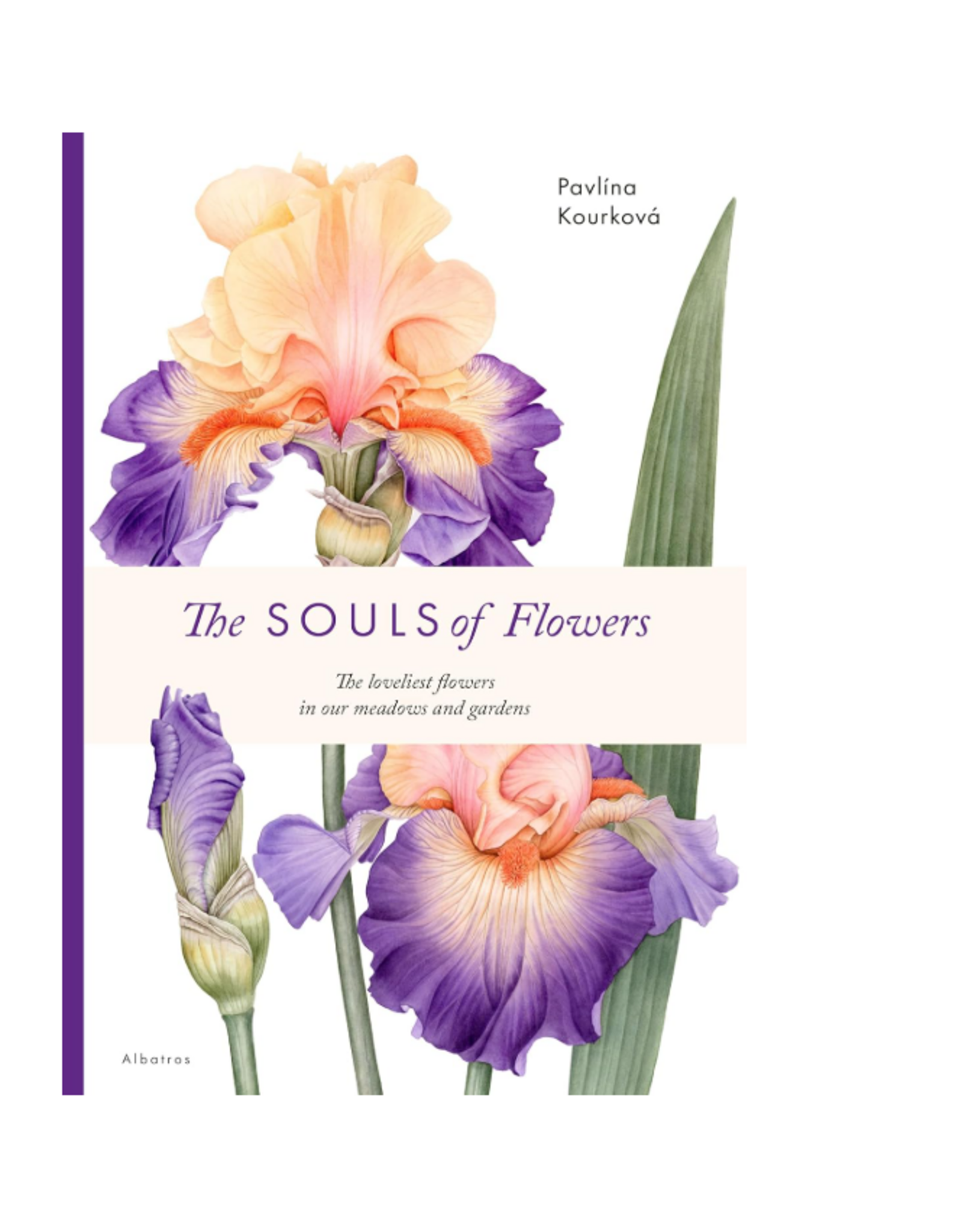 The Souls of Flowers (Large Encyclopedia)
