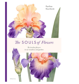 The Souls of Flowers (Large Encyclopedia)
