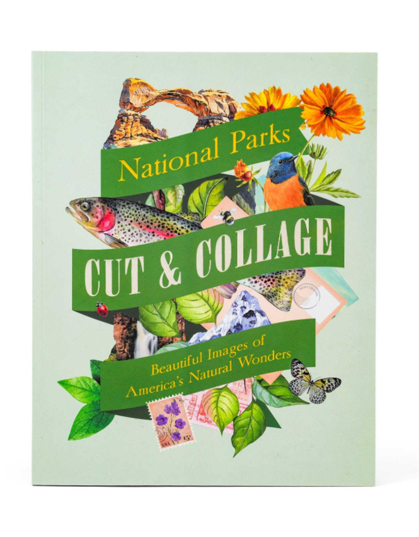 Cut & Collage National Parks