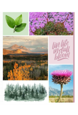 Cut & Collage National Parks