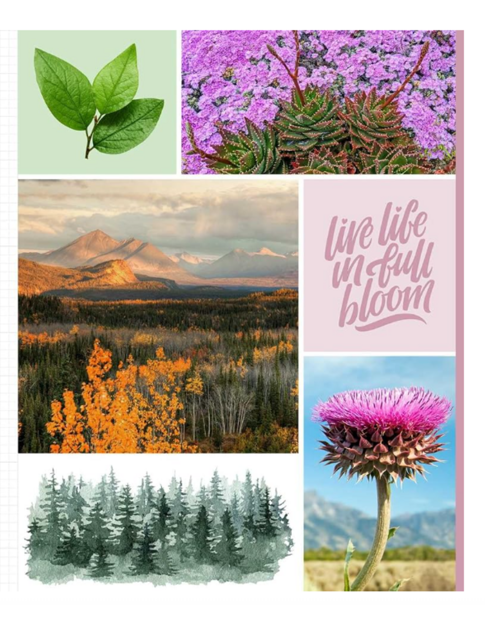 Cut & Collage National Parks