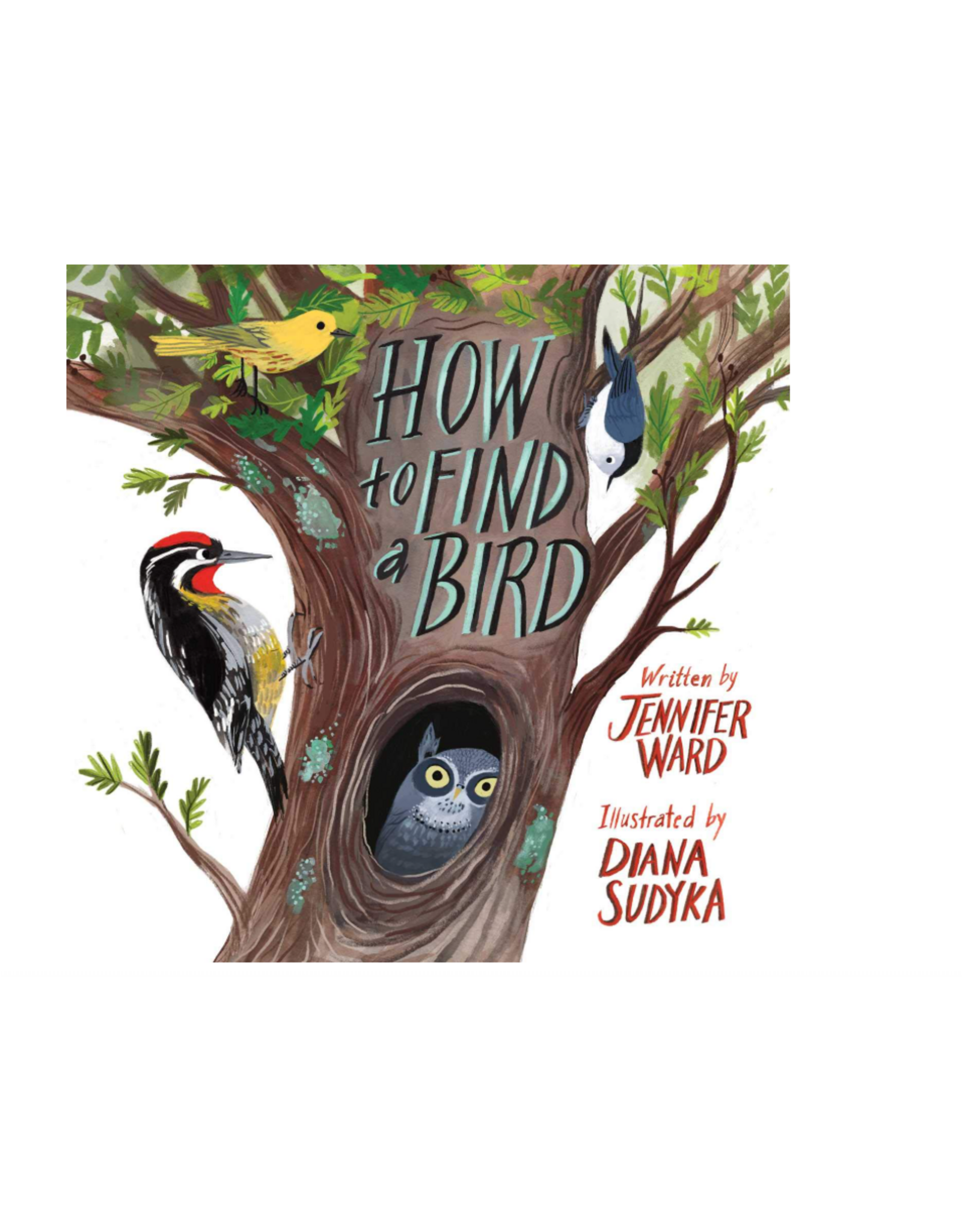 How to Find a Bird