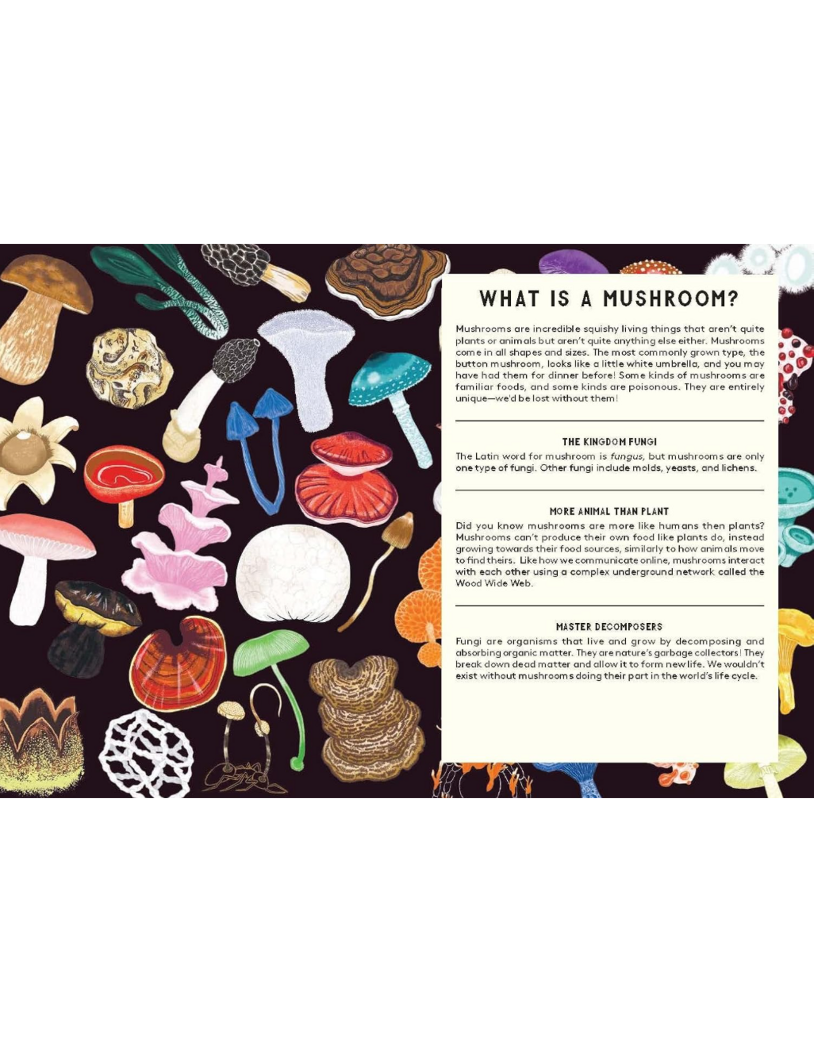 All About Mushrooms
