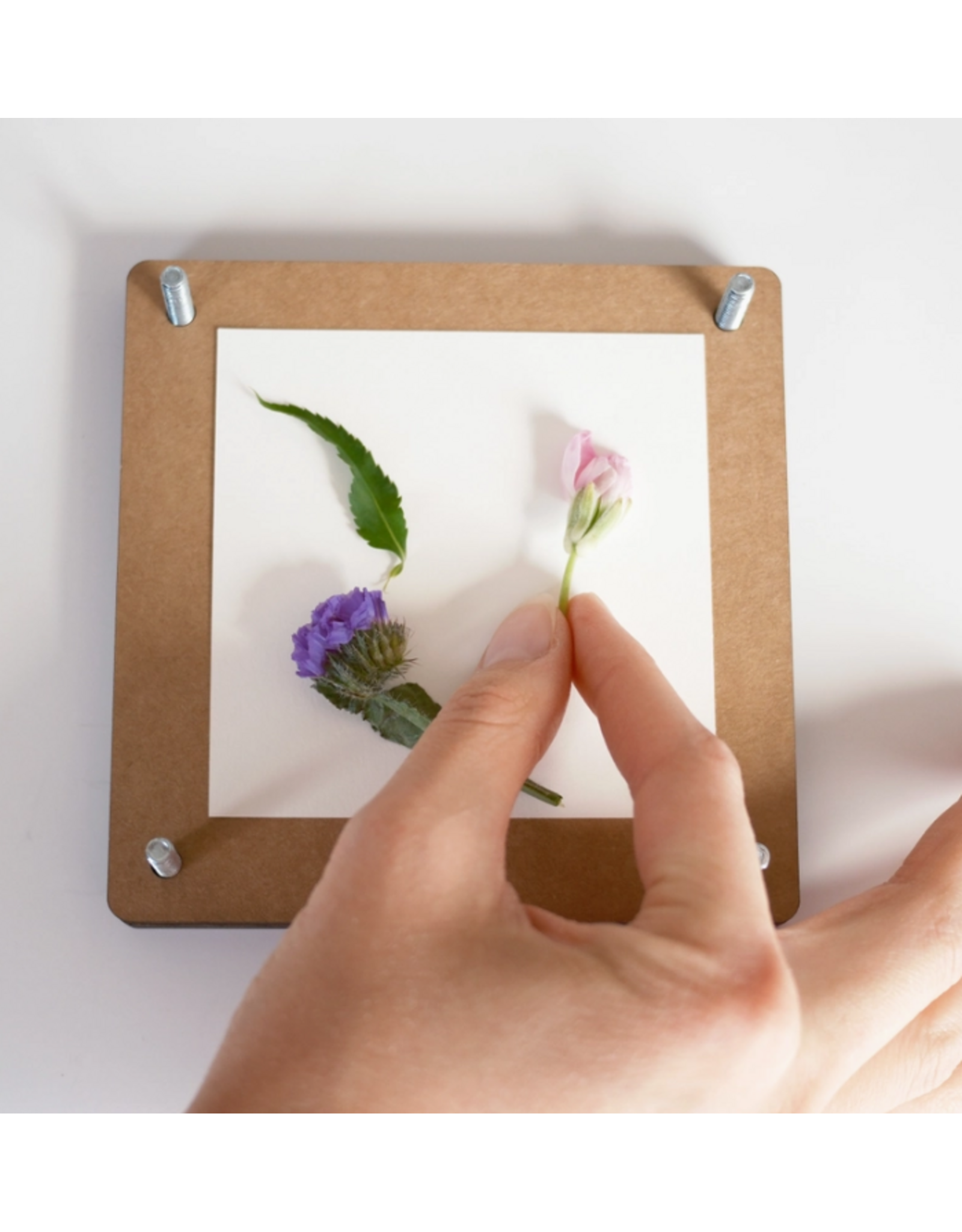 Cheekwood Flower Press Kit