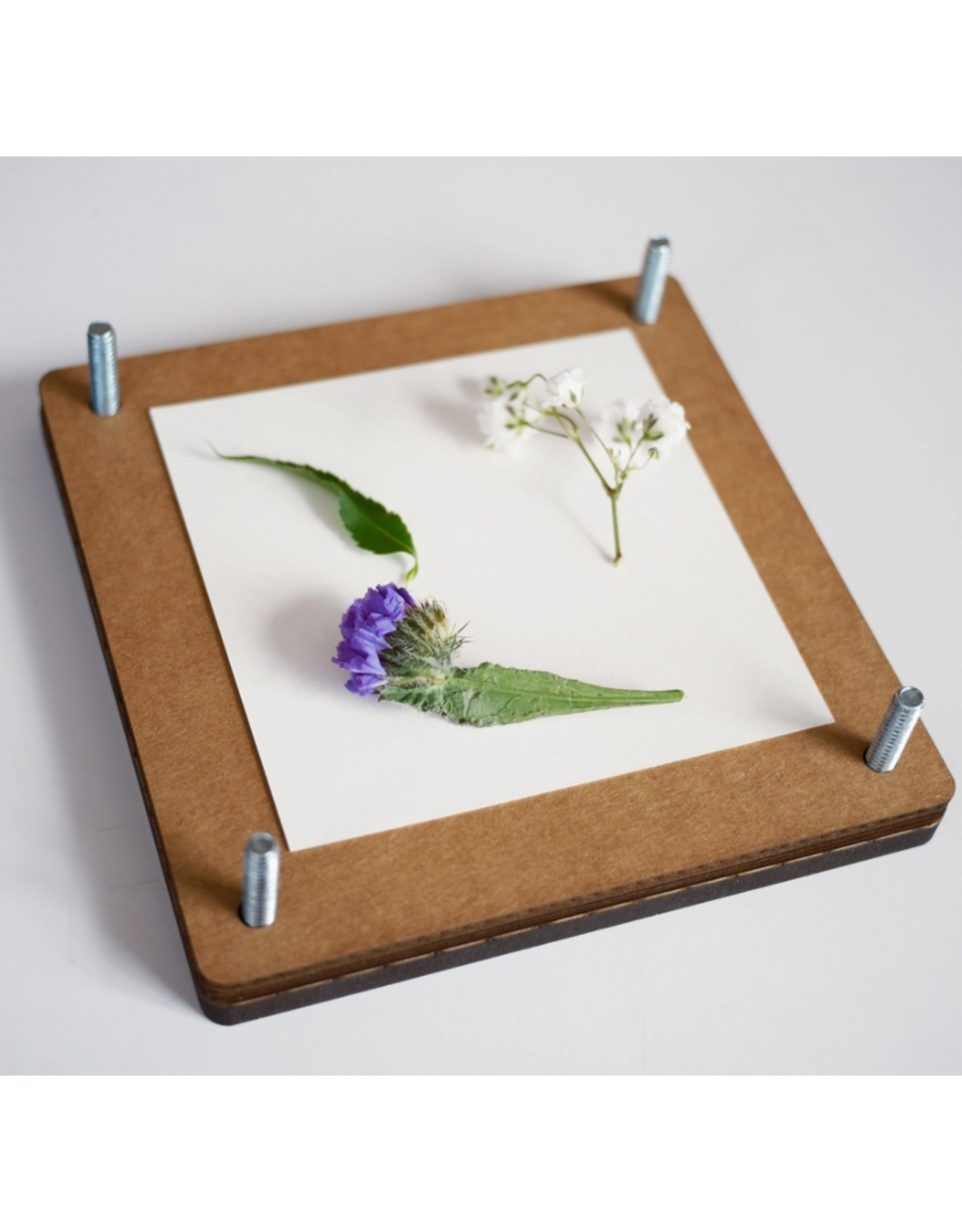 Cheekwood Flower Press Kit