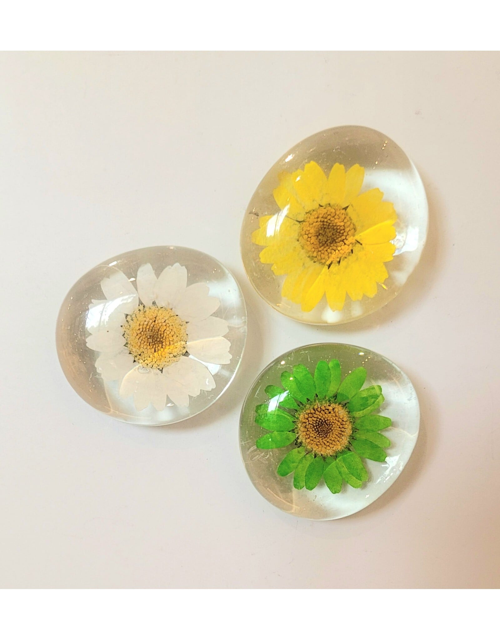 Cheekwood Flower Magnet Gift Box