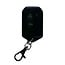 Glacier Key Fob (old)