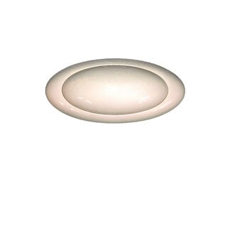 12V Incandescent White Light