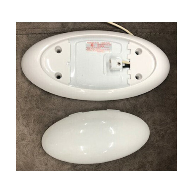 12V Incandescent White Light