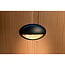 Black Hole Light