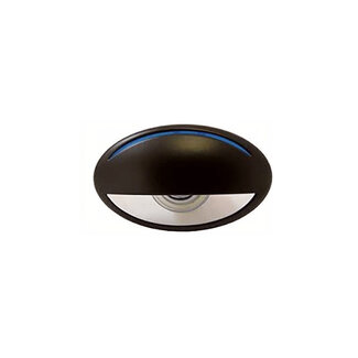 Black Hole Light