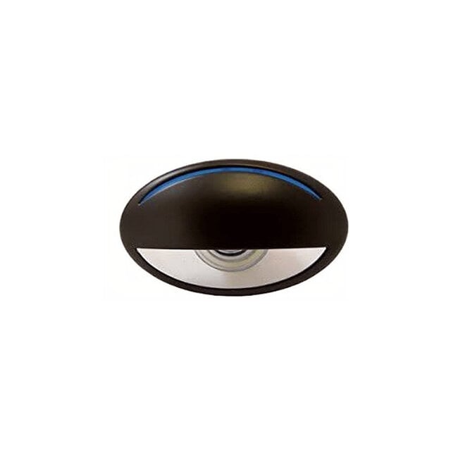Black Hole Light
