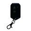 Glacier Key Fob (old)