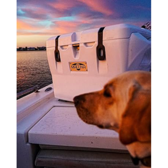 Maluna 40 Quart Cooler *Factory Blemished*