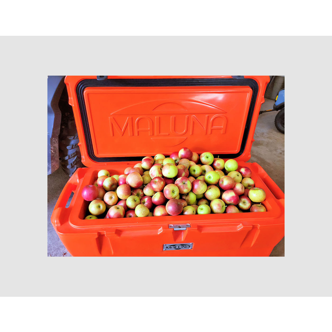 Maluna 111 Quart Cooler *Factory Blemished*