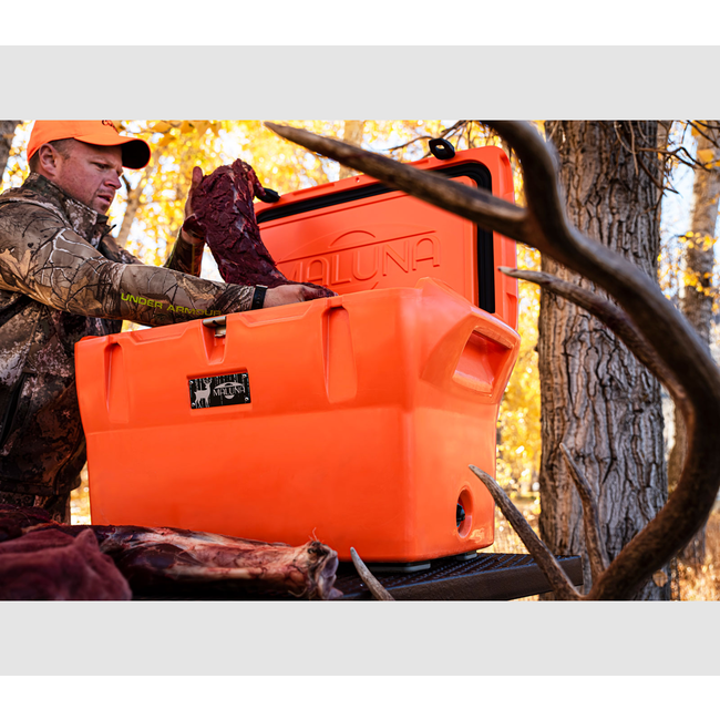 Maluna 70 Quart Cooler *Factory Blemished*