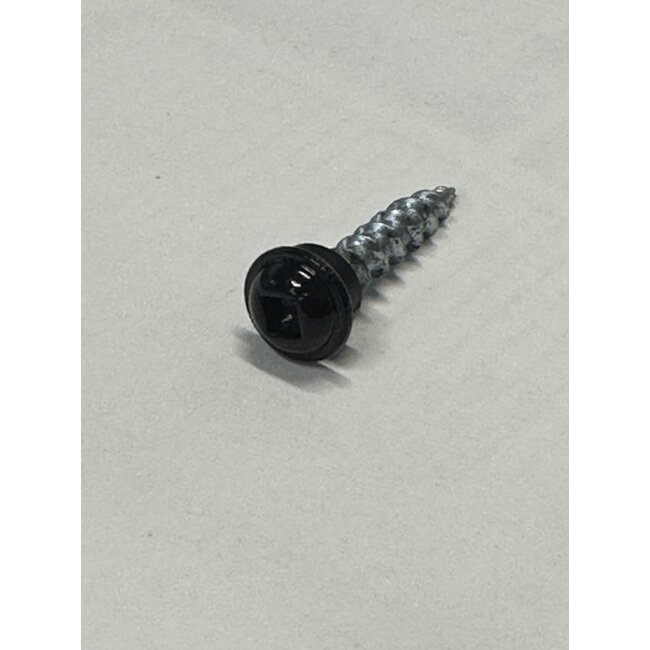 8X1 Black Screw w/Washer