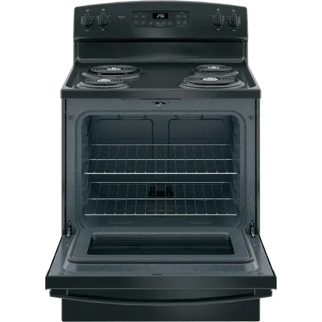 GE - 5.0 Cu. Ft. Self-Cleaning Freestanding Electric Range - Black