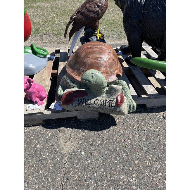 Welcome Turtle