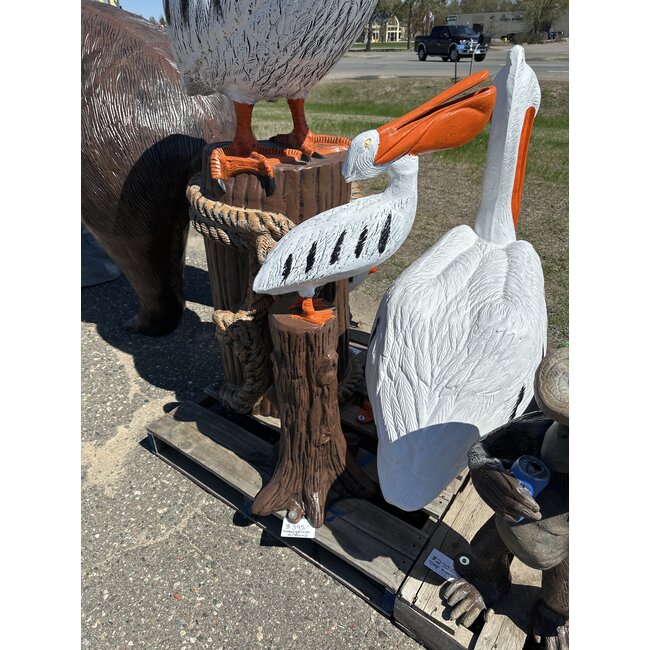 Baby Pelican on Stump