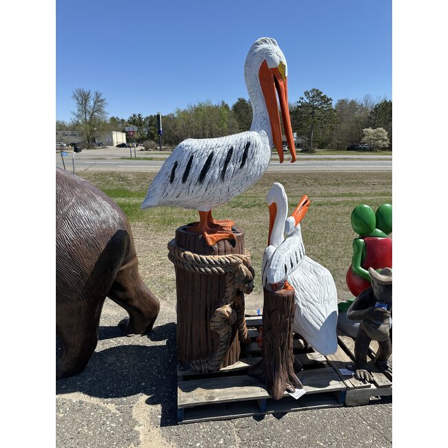 Large Pelican On Stump