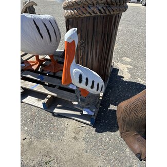 Baby Pelican no stump