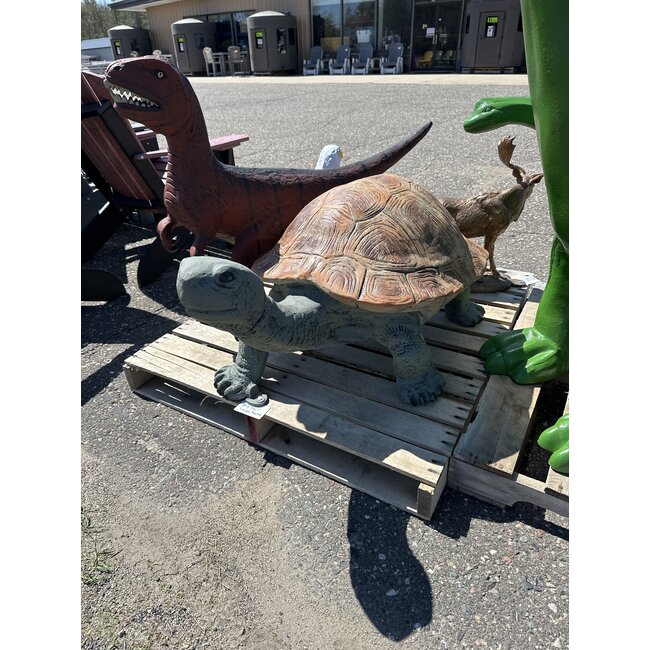 Large Turtle