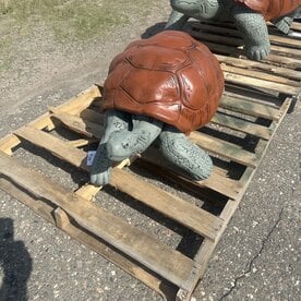 Large Turtle