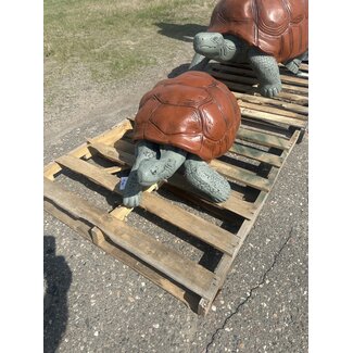 Large Turtle